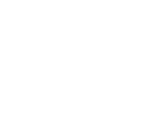 Brigadiers